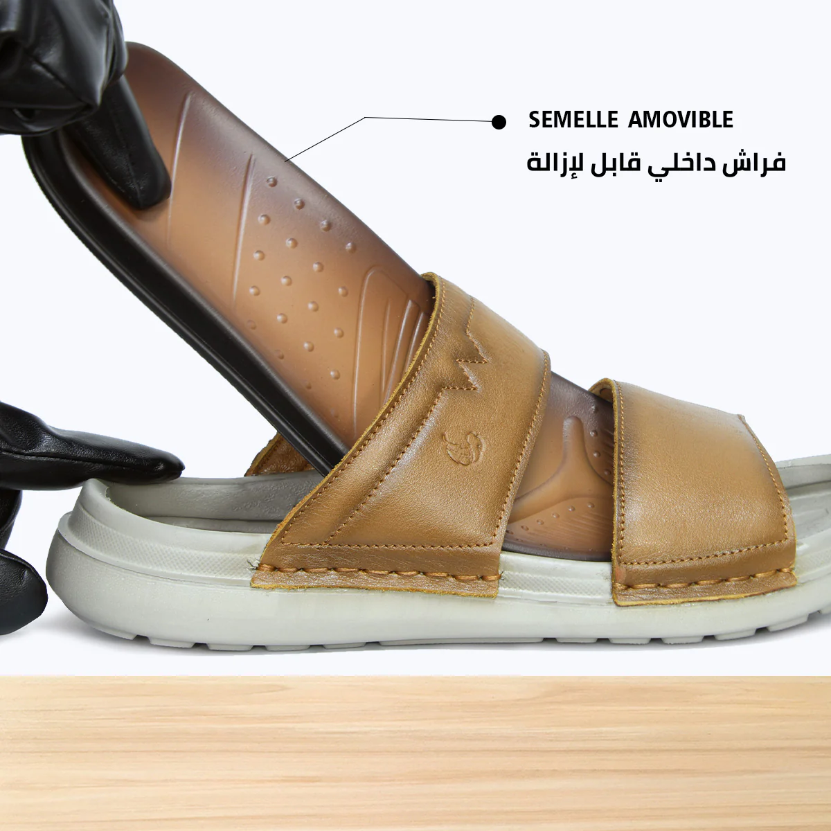 43S Turath Camel - Image 8